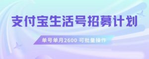 支付宝生活号作者招募计划，单号单月2600，可批量去做，工作室一人一个月轻松1W+-星启会
