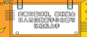 卖莆田篮球鞋，暴利掘金日入四位数新手小白都可以轻松上手【揭秘】-星启会