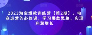2023淘宝爆款训练营【第2期】，电商运营的必修课，学习爆款思路，实现利润增长-星启会