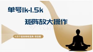 十万个富翁修炼宝典15.单号1k-1.5k，矩阵放大操作-星启会