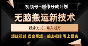 视频号无脑搬运新技术，破原创壕流量，独家方式，爆过视频，还会再爆【揭秘】-星启会