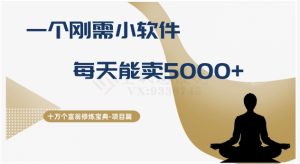 十万个富翁修炼宝典之17.一个刚需小软件，每天能卖5000+-星启会