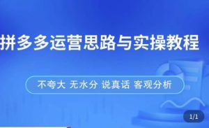 拼多多店铺运营思路与实操教程，快速学会拼多多开店和运营，少踩坑，多盈利-星启会