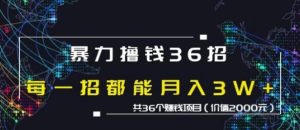 蜘蛛火暴力撸钱36招，共36个赚钱项目价值2000元-星启会