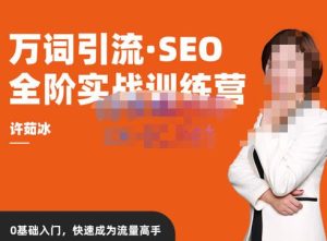 许茹冰·万词引流-SEO全阶实战训练营，0基础入门，快速成为流量高手-星启会