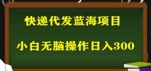 2023最新蓝海快递代发项目，小白零成本照抄也能日入300+-星启会