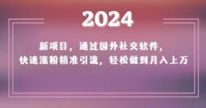 2024新项目，通过国外社交软件，快速涨粉精准引流，轻松做到月入上万【揭秘】-星启会