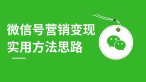 微信号营销变现实用方法思路，朋友圈刷屏裂变（共12节）价值199元-星启会