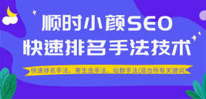 顺时小颜SEO快速排名手法技术教程、寄生虫手法、站群手法(适合所有关键词)-星启会