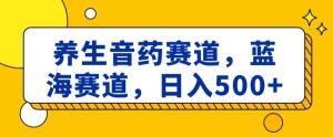 养生音药赛道，蓝海赛道，日入500+【揭秘】-星启会