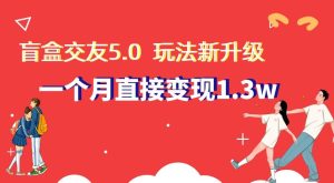 盲盒交友5.0，玩法全新升级，一个月直接变现1.3W，新手小白轻松上手【揭秘】-星启会