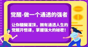 觉醒-做一个通透的强者，让你醍醐灌顶，拥有通透人生的觉醒开悟课，掌握强大的秘密！-星启会