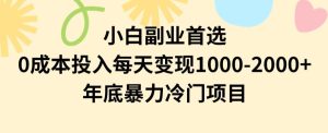 小白副业首选，0成本投入，每天变现1000-2000年底暴力冷门项目【揭秘】-星启会