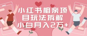 小红书相亲项目玩法拆解，有人通过这个副业项目做到了月收入2万多【揭秘】-星启会