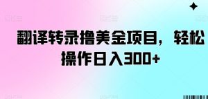 翻译转录撸美金项目，轻松操作日入300+【揭秘】-星启会