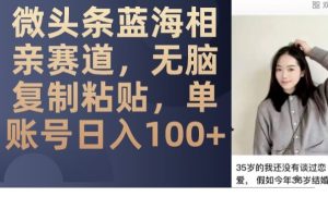 微头条蓝海相亲赛道，无脑复制粘贴，单账号日入100+-星启会