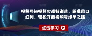 视频号短视频实战特训营，踩准风口红利，轻松开启视频号爆单之路-星启会