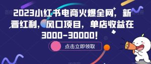 2023小红书电商火爆全网，新晋红利，风口项目，单店收益在3000-30000！-星启会