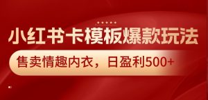 小红书卡模板爆款玩法，售卖情趣内衣，日盈利500+【揭秘】-星启会