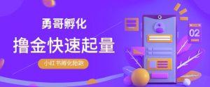 勇哥·小红书撸金快速起量陪跑孵化营，教你在小红书平台实现副业的睡后收入-星启会