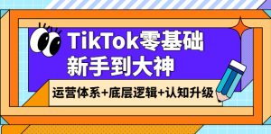 TikTok零基础新手到大神：运营体系+底层逻辑+认知升级（9节系列课）-星启会