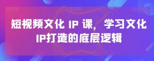 短视频文化IP课，学习文化IP打造的底层逻辑-星启会
