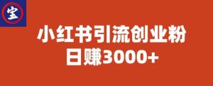 宝哥小红书引流创业粉，日赚3000+【揭秘】-星启会
