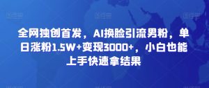 全网独创首发，AI换脸引流男粉，单日涨粉1.5W+变现3000+，小白也能上手快速拿结果【揭秘】-星启会