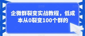 企微群裂变实战教程，低成本从0裂变100个群的-星启会
