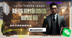 矩阵刷爆微信蝴蝶号创作者分成计划收益的新玩法，日入2000+【揭秘】-星启会