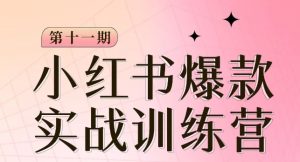 小红书博主爆款训练营第11期，手把手教你从0-1做小红书，从定位到起号到变现-星启会