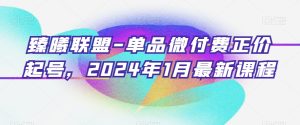 臻曦联盟-单品微付费正价起号，2024年1月最新课程-星启会