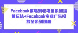 Facebook菜鸟到老鸟全系列运营玩法+Facebook专业广告投放全系列课程-星启会