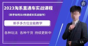 2023淘系直通车保姆式运营讲解，新手如何从0快速成长实战操作，新手多方位全能教学-星启会