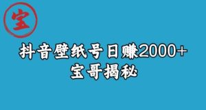 宝哥抖音壁纸号日赚2000+，不需要真人露脸就能操作【揭秘】-星启会