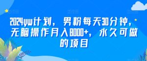 2024yw计划，男粉每天30分钟，无脑操作月入8000+，永久可做的项目【揭秘】-星启会