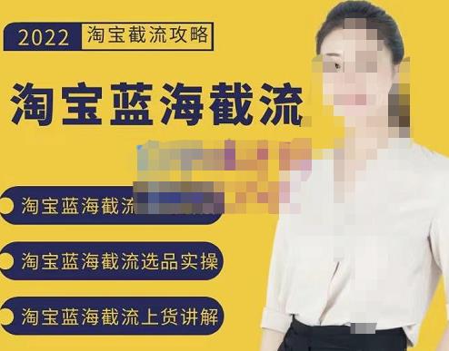 图片[1]-2022淘宝蓝海截流攻略，淘宝蓝海截流选品上货实操讲解-星启会