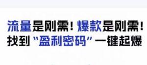 电商盈利精品课：6大盈利密码让产品更好卖，流量是刚需！爆款是刚需！找到”盈利密码”一键起爆-星启会