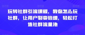 玩转社群引流课程，教你怎么玩社群，让用户裂变倍增，轻松打造社群流量池-星启会