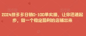 2024拼多多日销0-100单实操，让你迅速起步，做一个稳定盈利的店铺出来-星启会