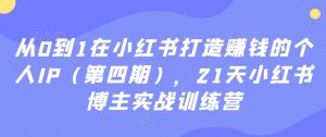 从0到1在小红书打造赚钱的个人IP（第四期），21天小红书博主实战训练营-星启会