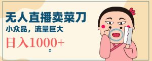 无人冷门品直播新玩法，通过卖菜刀日入1000+【揭秘】-星启会