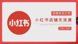 安琪-小红书店铺无货源实战，开店到售后全流程操作-星启会