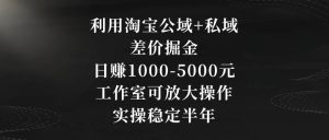 利用淘宝公域+私域差价掘金，日赚1000-5000元，工作室可放大操作，实操稳定半年【揭秘】-星启会