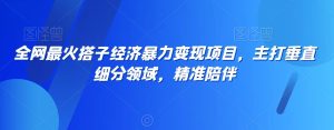 全网最火搭子经济暴力变现项目，主打垂直细分领域，精准陪伴【揭秘】-星启会