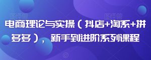 电商理论与实操（抖店+淘系+拼多多），新手到进阶系列课程-星启会