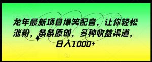 龙年最新项目爆笑配音，让你轻松涨粉，条条原创，多种收益渠道，日入1000+【揭秘】-星启会