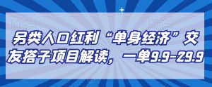 另类人口红利“单身经济”交友搭子项目解读，一单9.9-29.9【揭秘】-星启会