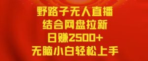 野路子无人直播结合网盘拉新，日赚2500+，小白无脑轻松上手【揭秘】-星启会