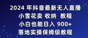 2024年抖音最新无人直播小雪花卖收纳教程，小白也能日入900+落地实操保姆级教程【揭秘】-星启会